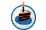 Birthdays